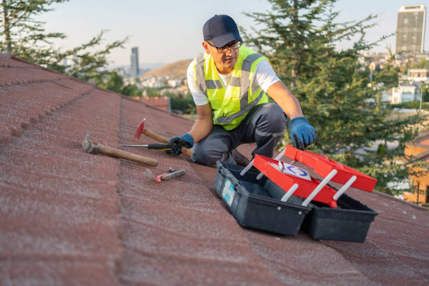 Best Insulated Siding Installation  in Lexington, KY